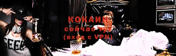 меф VHQ Дмитриев